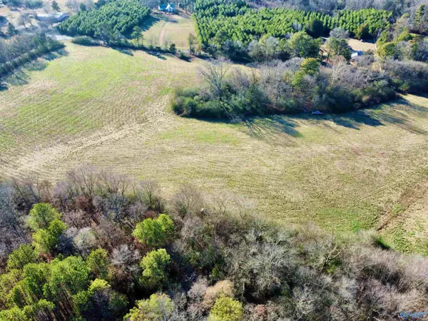 Lot 5 Matt Morrow Road, Arab, AL 35016