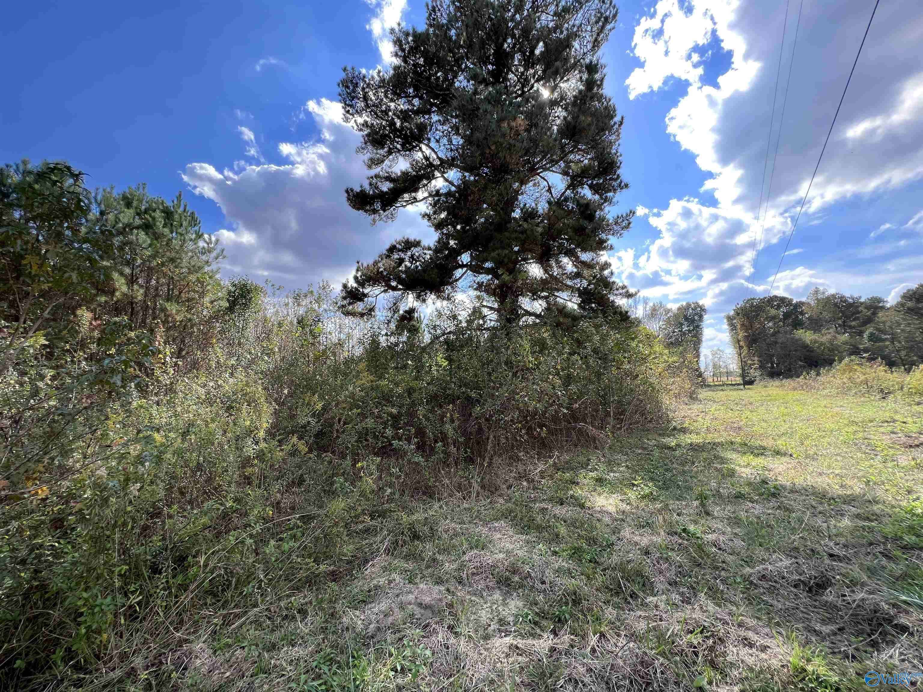 Hanceville, AL 35077,1.8 AC Hwy 31