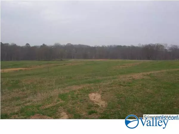 35 AC Ellis Road, Boaz, AL 35957