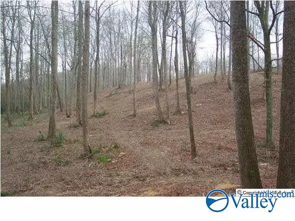 Boaz, AL 35957,35 AC Ellis Road