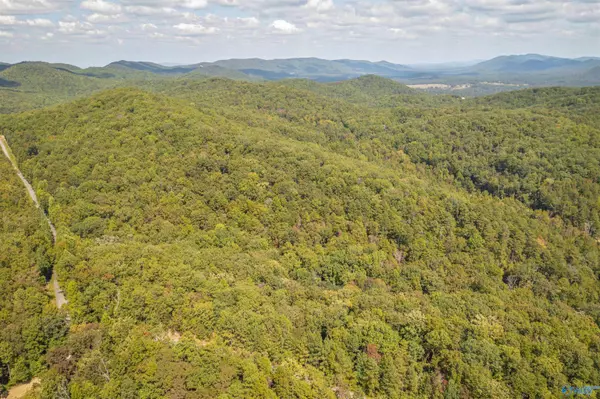 Jacksonville, AL 36265,#2 32 Acres Highland Woods