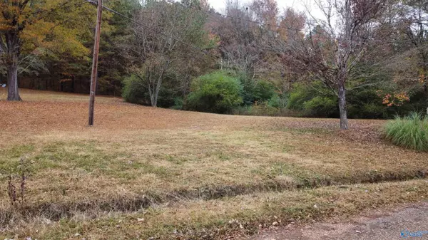 Oakman, AL 35579,385 Jackson Street