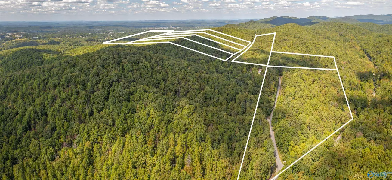 #5 20 Acres Highland Drive, Jacksonville, AL 36265