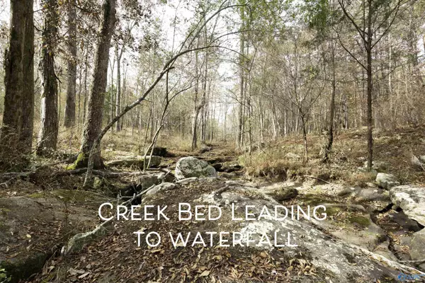 Pisgah, AL 35765,537 Lazy J Lane