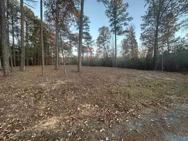 Mentone, AL 35984,Lot 46 County Road 103