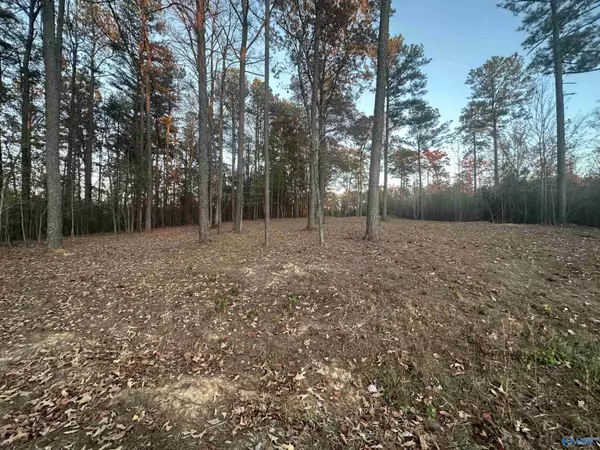 Mentone, AL 35984,Lot 46 County Road 103