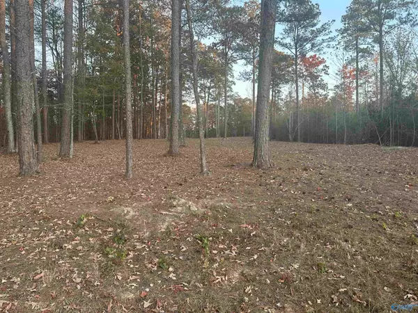 Mentone, AL 35984,Lot 46 County Road 103