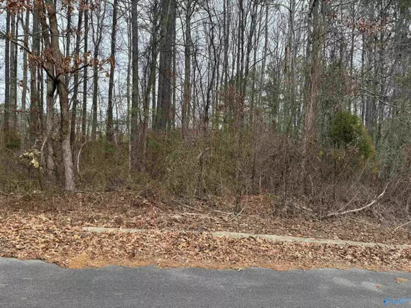 10, 11, 12 Cade Circle, Leesburg, AL 35983