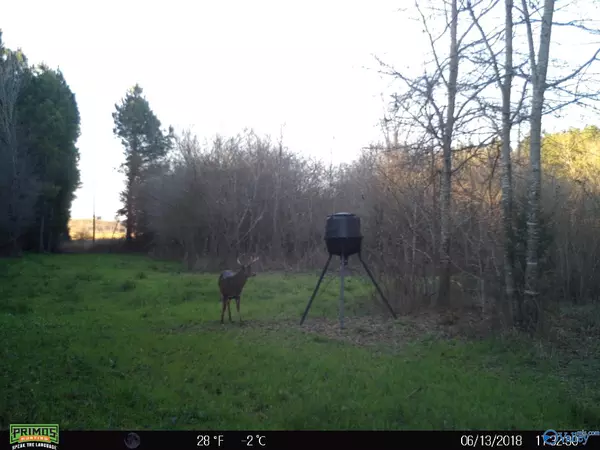 Hamilton, AL 35053,2603 & 2606 County Road 33