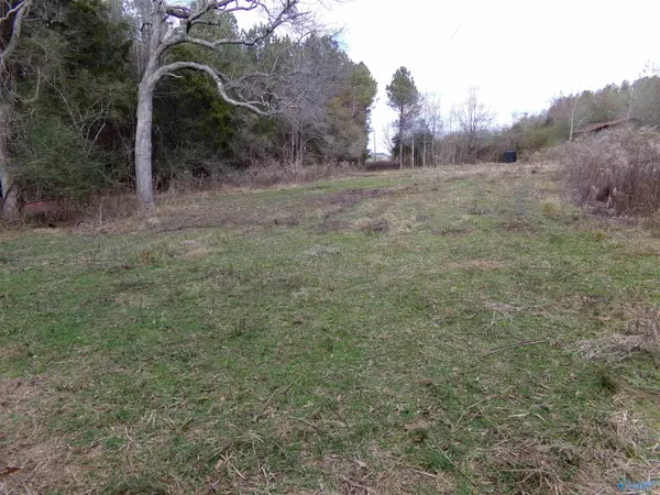 Hamilton, AL 35053,2603 & 2606 County Road 33