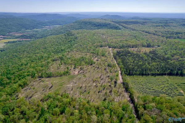 Fackler, AL 35752,4400 County Road 39