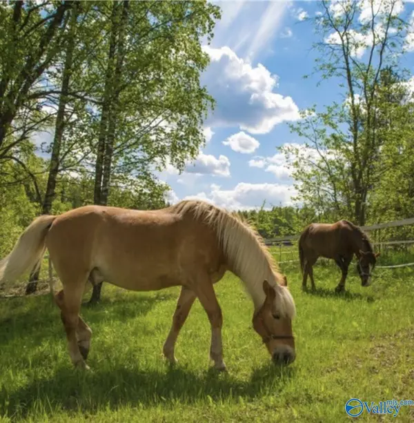 New Market, AL 35761,6 A Moe Road