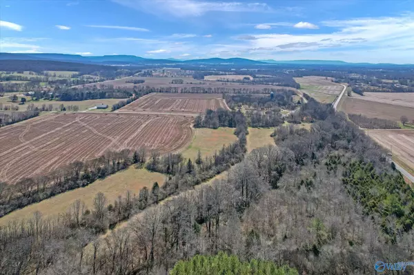 New Market, AL 35761,6 A Moe Road