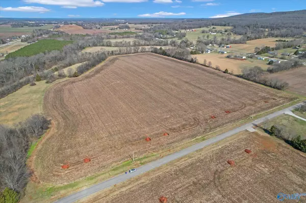 New Market, AL 35761,7 A Moe Road