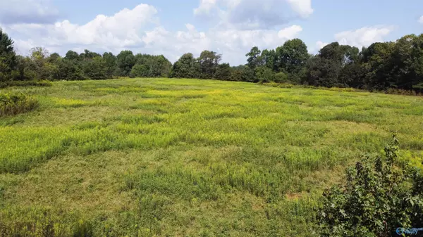 Ider, AL 35981,3324 County Road 788