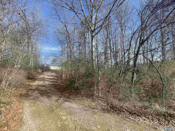 321 County Road 246, Cullman, AL 35057