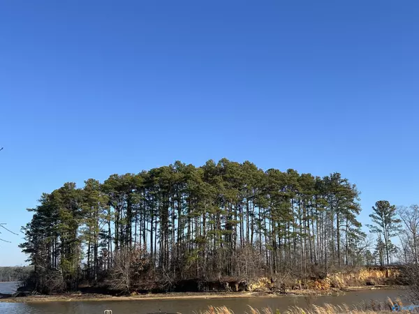 Lot 0 Weiss Lake Island, Centre, AL 35960