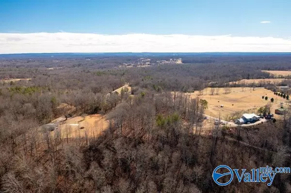 Bryant, AL 35958,2 Acres County Road 194