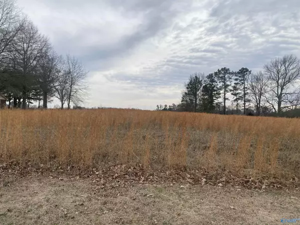 433 Bluff Road, Section, AL 35771