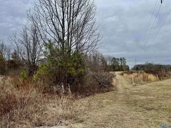 LOT 7 County Road 496, Trinity, AL 35673