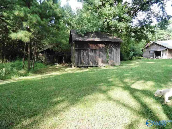 Crane Hill, AL 35053,14884 County Road 222