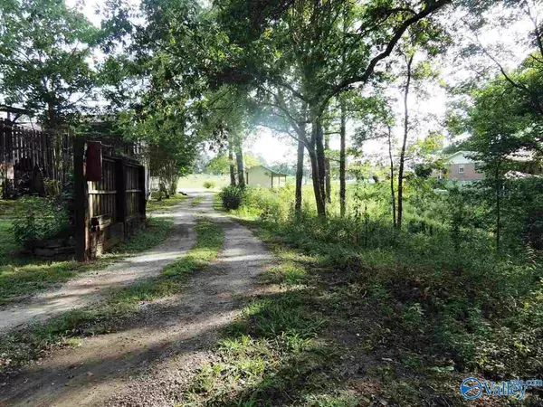 Crane Hill, AL 35053,14884 County Road 222