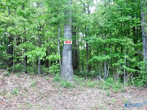 Jasper, AL 35504,44 Harbor Loop