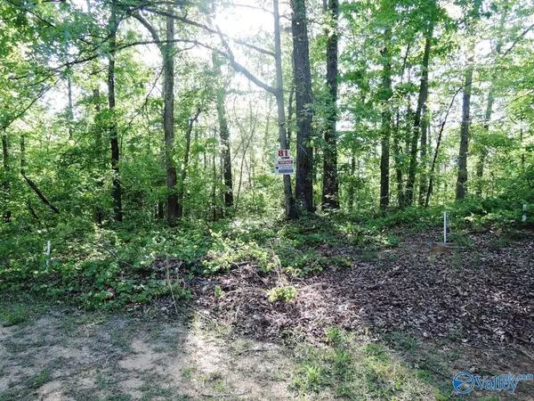 Jasper, AL 35504,81 Pinewood Point