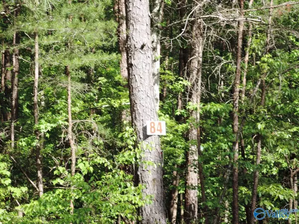 Jasper, AL 35504,84 Harbor Lights Trail