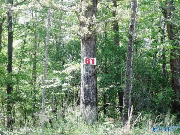 Jasper, AL 35504,61 Harbor Loop