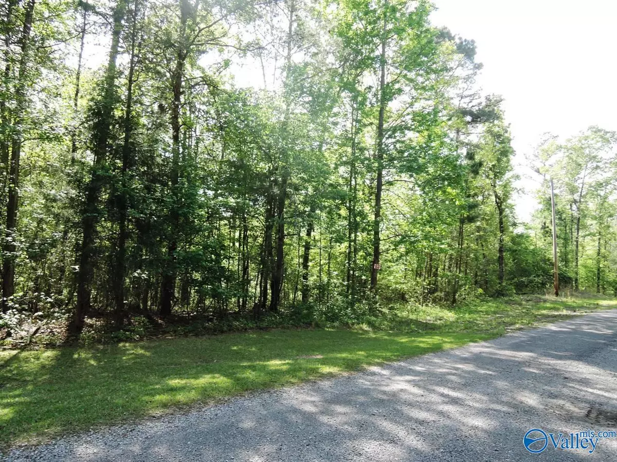 Jasper, AL 35504,69 Timber Line Court