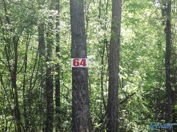 Jasper, AL 35504,64 Timber Line Court