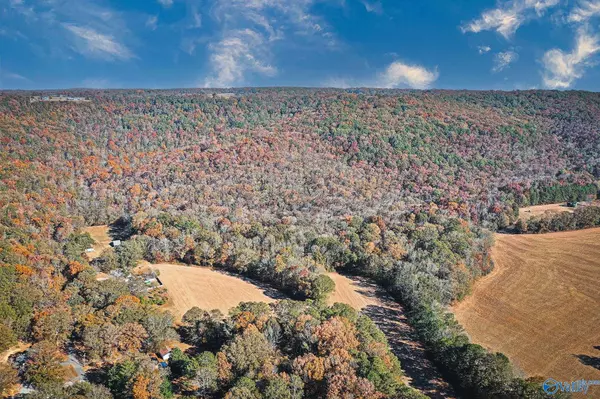 Grant, AL 35747,156 Acres Shenault Hollow