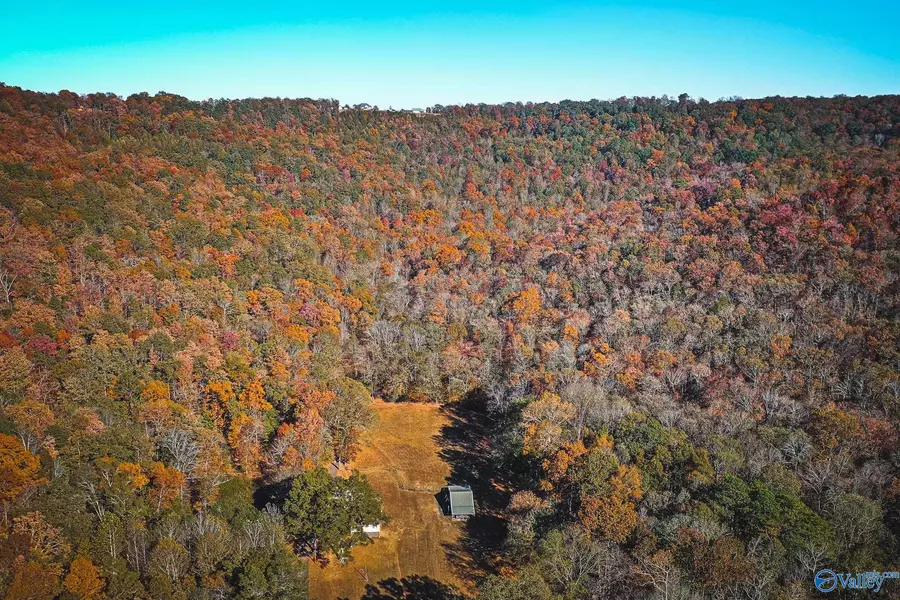 156 Acres Shenault Hollow, Grant, AL 35747