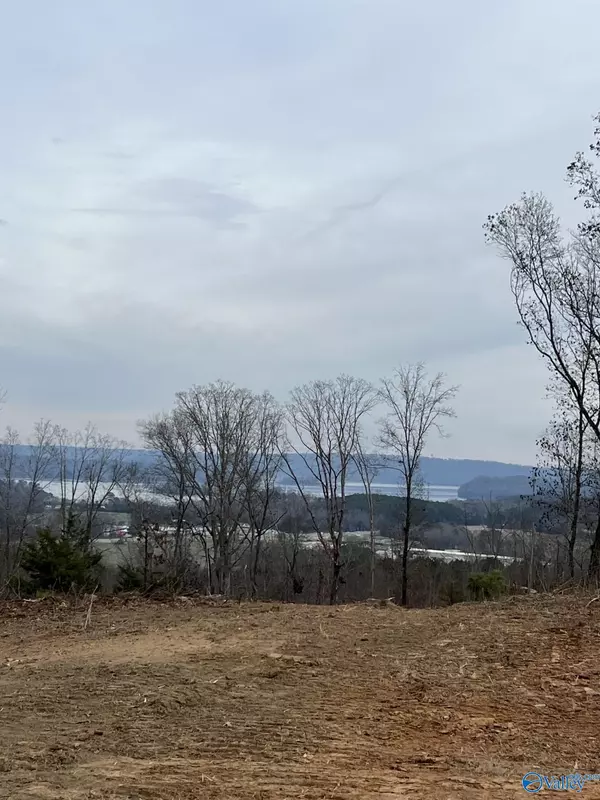 230 Acres Tara Road, Guntersville, AL 35976