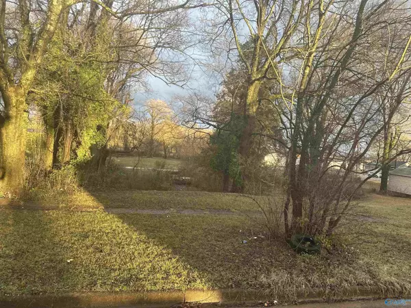 Lot 13 NW 4th Avenue NW, Decatur, AL 35601