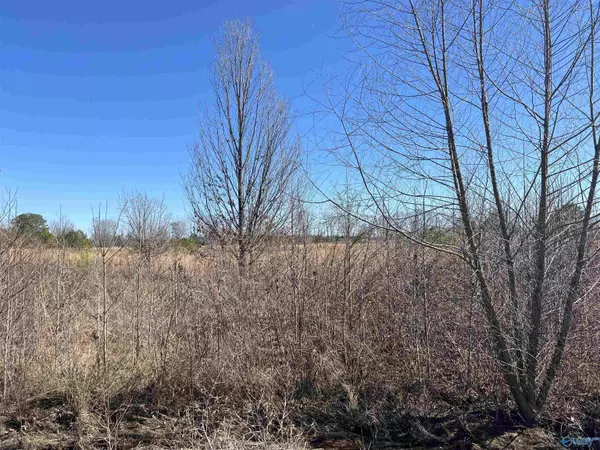 Moulton, AL 35650,Lot 16 County Road 487