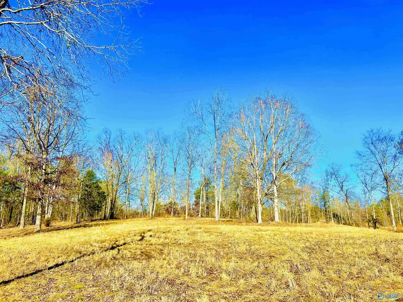 3.3 Acres Norris Mill Road, Hartselle, AL 35640