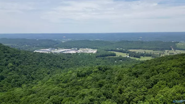 Mentone, AL 35984,19ACRES County Road 604