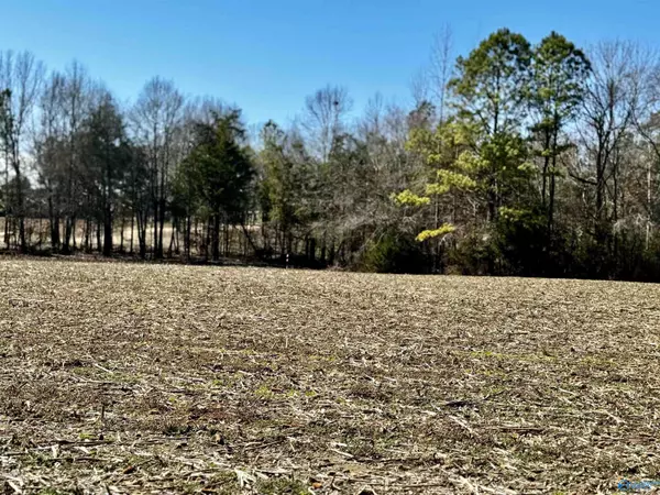 Centre, AL 35960,Lot 18 County Road 113