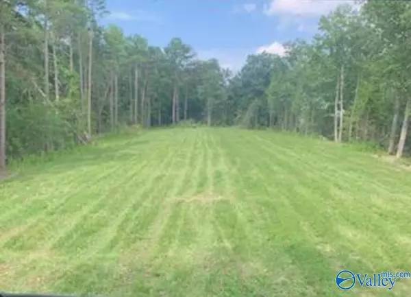 40 Acres County Road 81, Pisgah, AL 35765