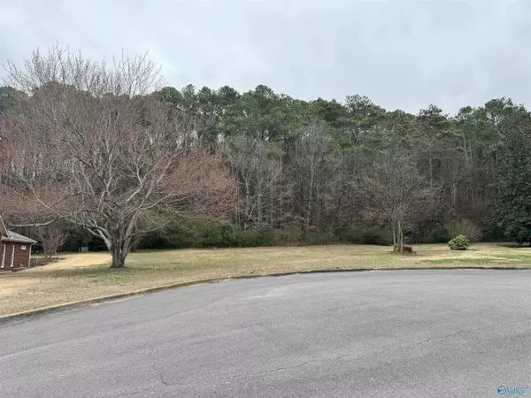 Lot 8A Brownwood Lane, Guntersville, AL 35976