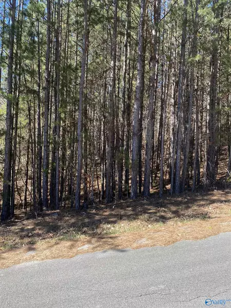 Lot 4 Blk 2 Alyson Avenue, Fort Payne, AL 35968