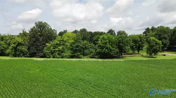 Athens, AL 35671,56.91 Acres Hatchie Lane