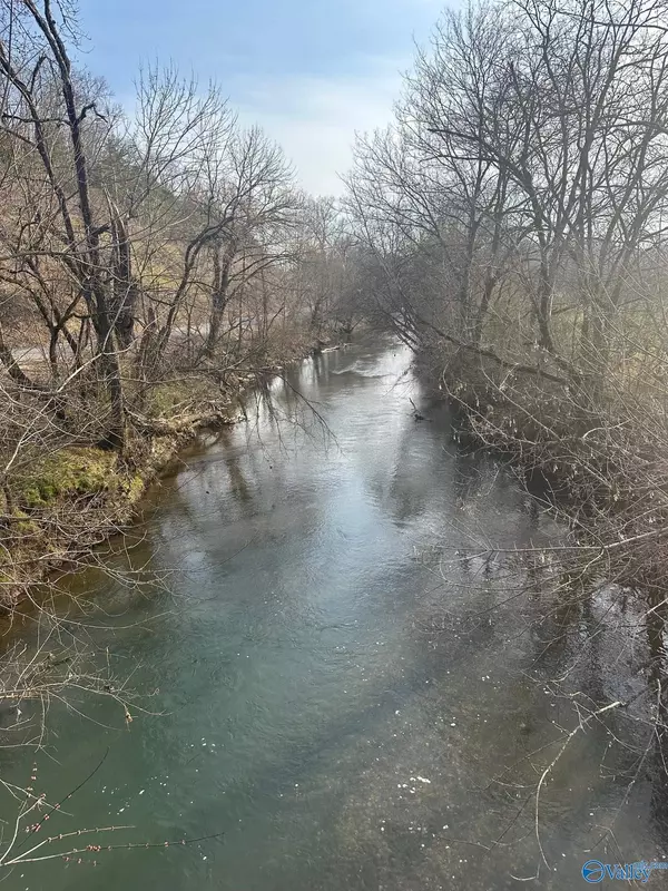 Dellrose, TN 38453,69 acres Dee Solomon Road