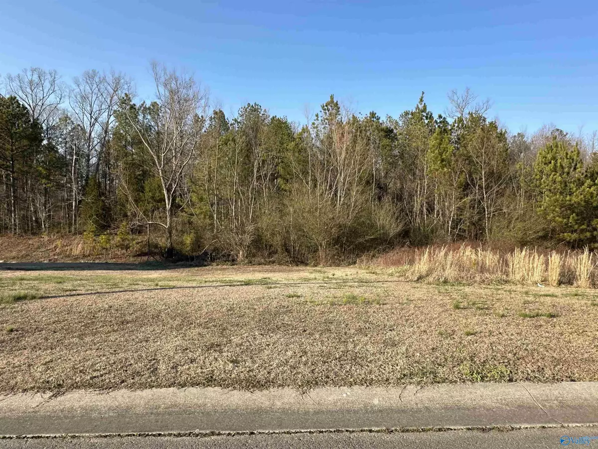 Cullman, AL 35058,LOT #17 County Road 1562