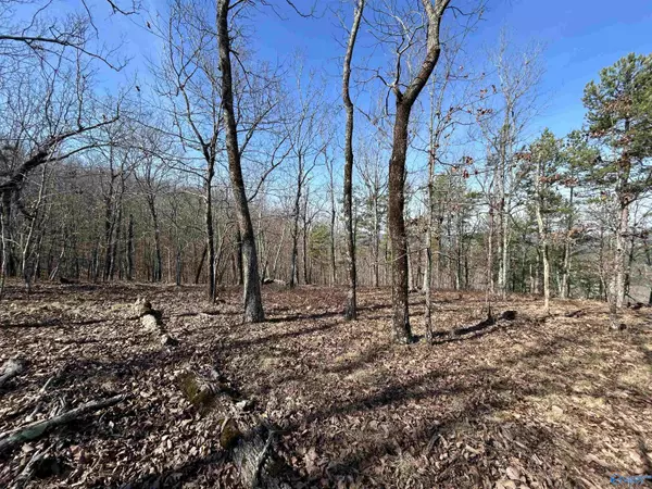 Centre, AL 35960,40 County Road 793