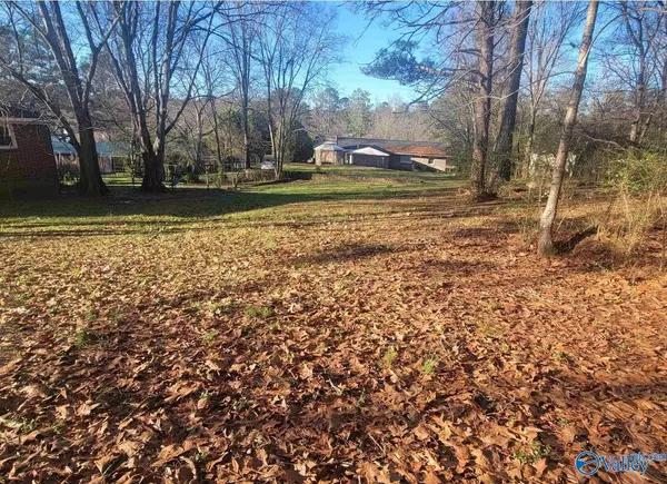 Gadsden, AL 35905,0.46 ac Lovejoy Place