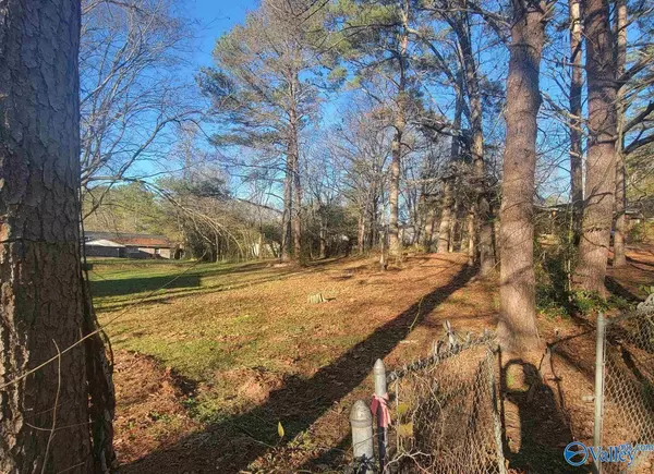 Gadsden, AL 35905,0.46 ac Lovejoy Place