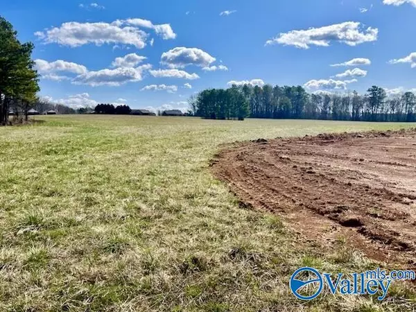 Elkmont, AL 35620,Lot 5 Hays Mill Road